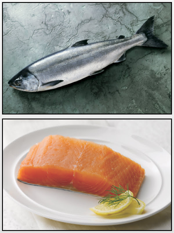 Salmão Keta Alaska seafood