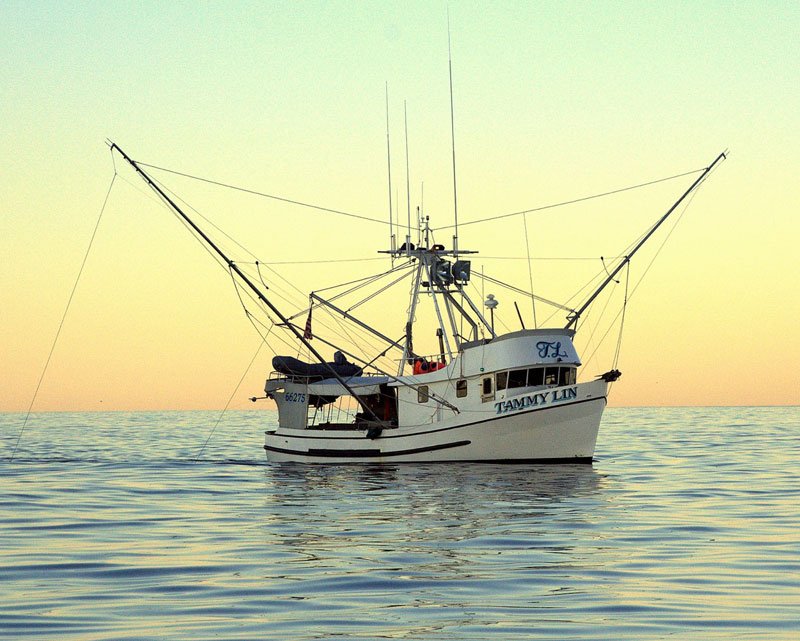Pesca trolling - Alaska seafood