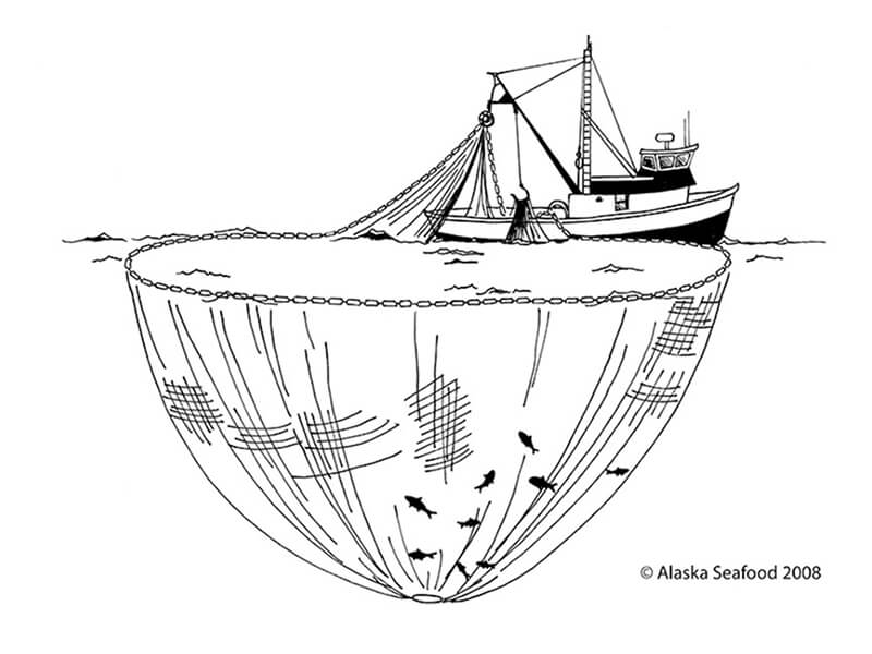 Pesca de cerco com xareta – Alaska Seafood